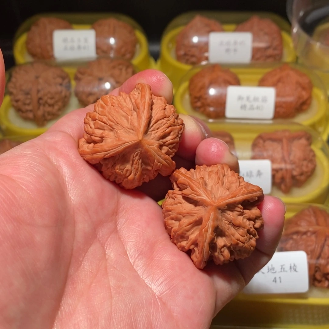 小***茶38御龙粗筋正球奔精品对