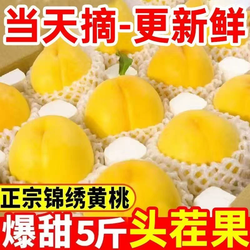 【现摘现发】山东蒙阴黄毛桃鲜水果桃子孕妇毛桃黄金蜜桃A
