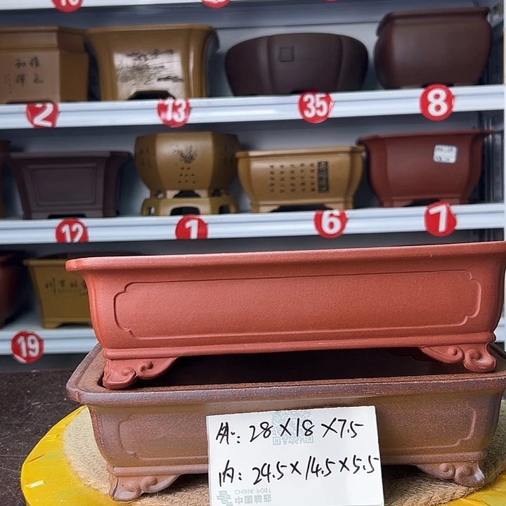 紫砂花盆蛇年大吉