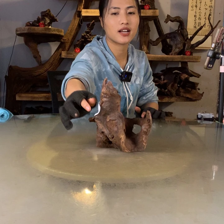 呢***王天然的云南紫柚木会黄水
