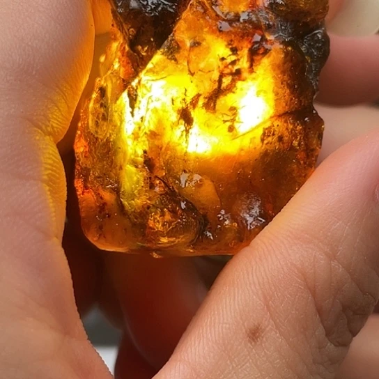 定制蜜蜡订制蚂蚁虫珀