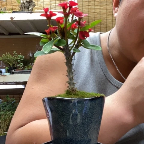 红陶一物一拍所见即所得62