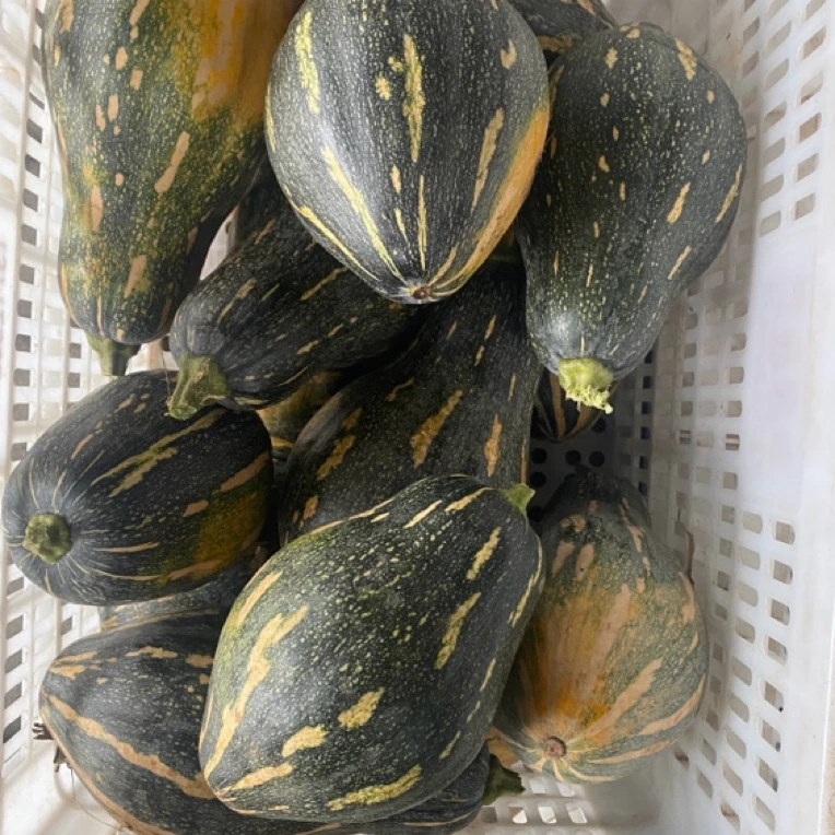 【香芋南瓜】2-4个，有机肥种植露天农家菜【坏菜包赔】5斤起
