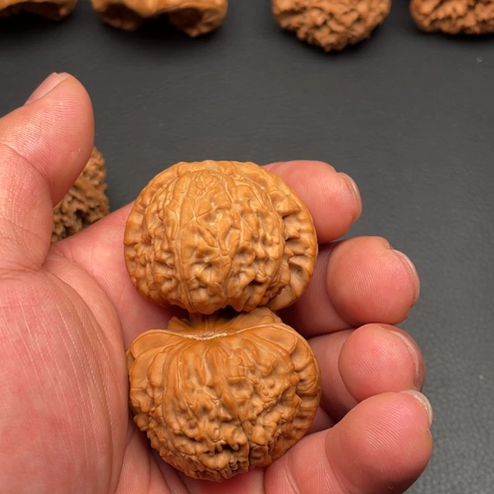 用***7文玩核桃把件白狮子41➕尺寸全品