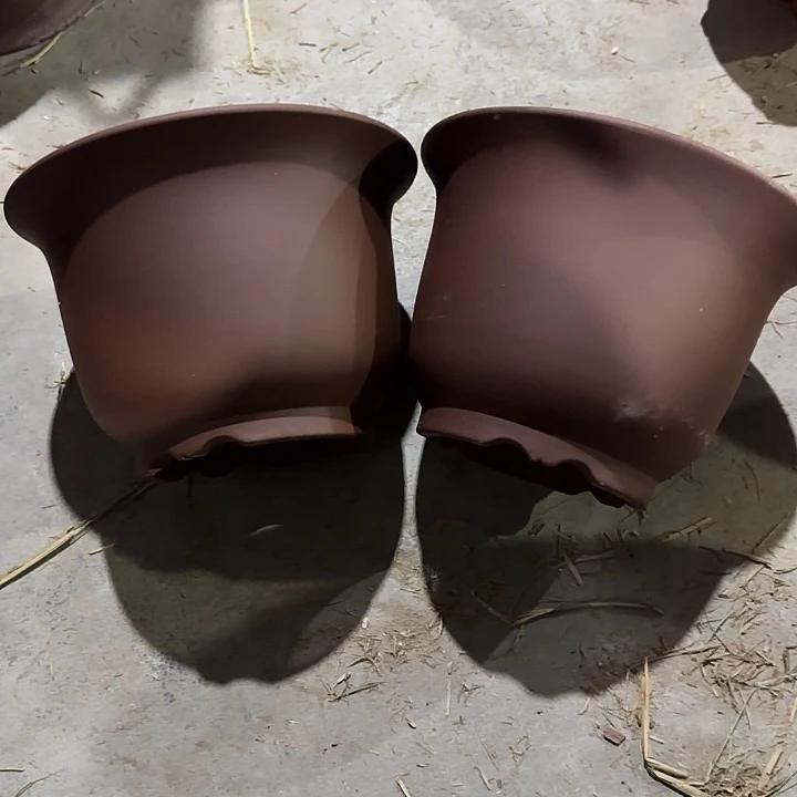 25×17两只大号京中