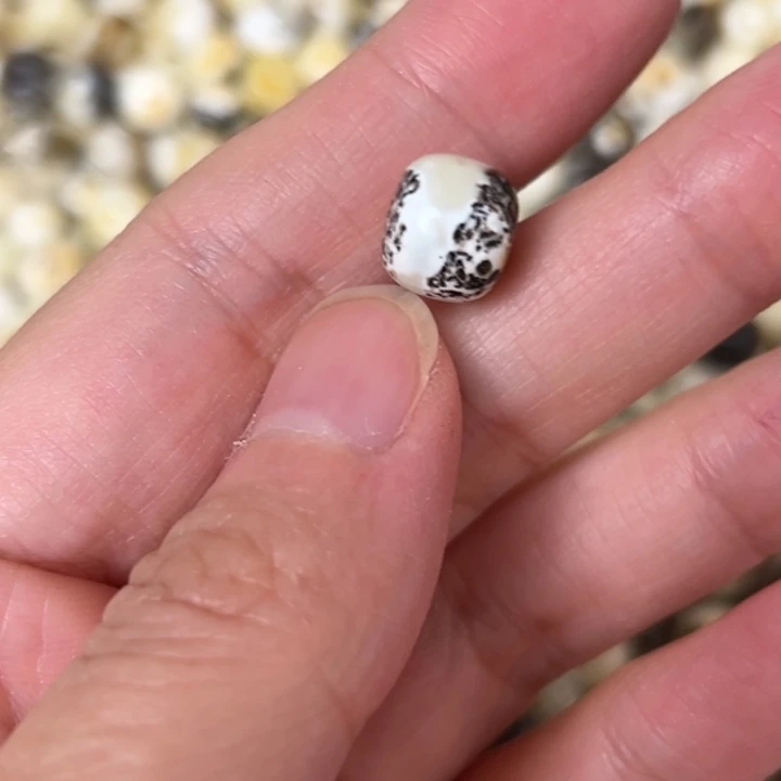 蜜蜡未镶嵌裸石9.9mm一个