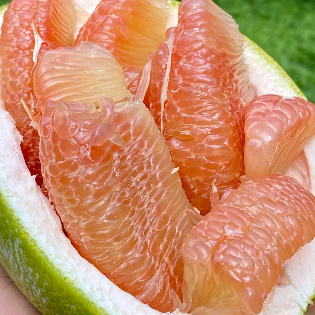 【直播浮力】泰国翡翠红心柚青柚水果新鲜单果水分足当季鲜果