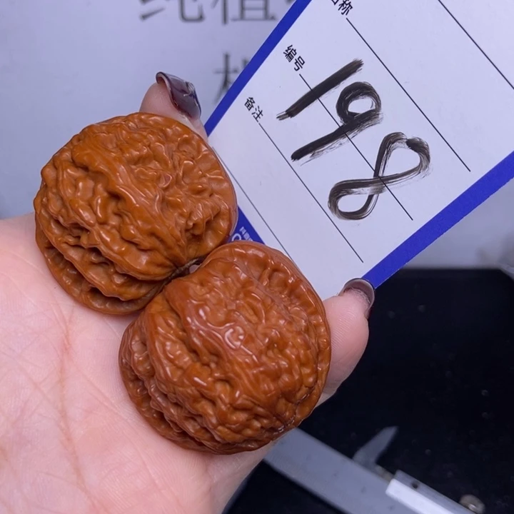 把件文玩核桃198/37白狮子