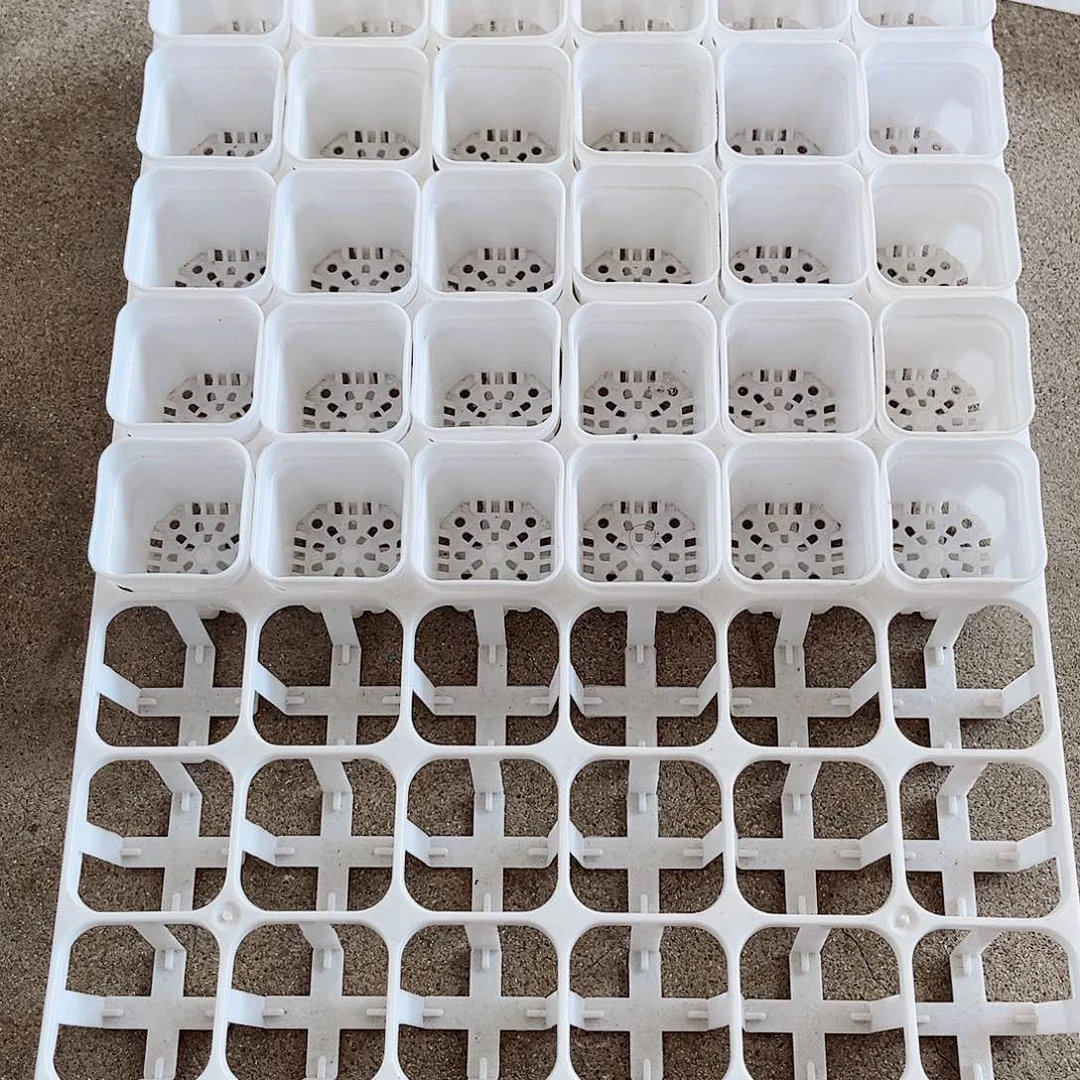塑料福利款4厘米白方盆48个带拖架