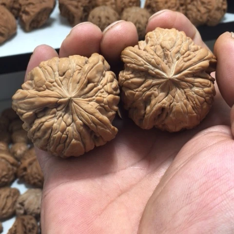 b***e核桃把件。闷顿文玩核桃手把件