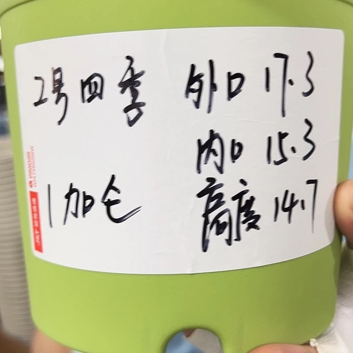 特价2号四季口17高15白色无托10个