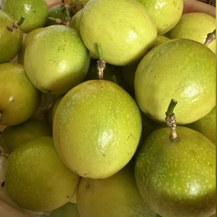 云南钦蜜9号百香果新鲜采摘当季水果多汁香甜营养丰富