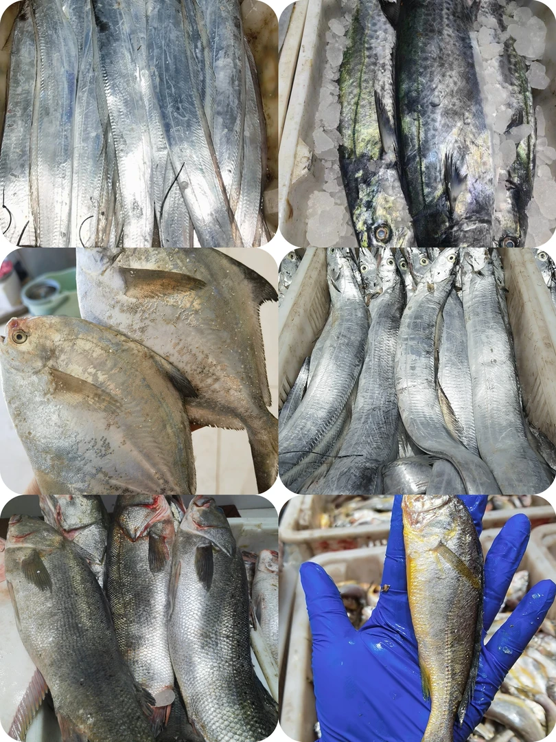 青岛海鲜直播间现场称重随时改价,拍下NO退,一人一单定制