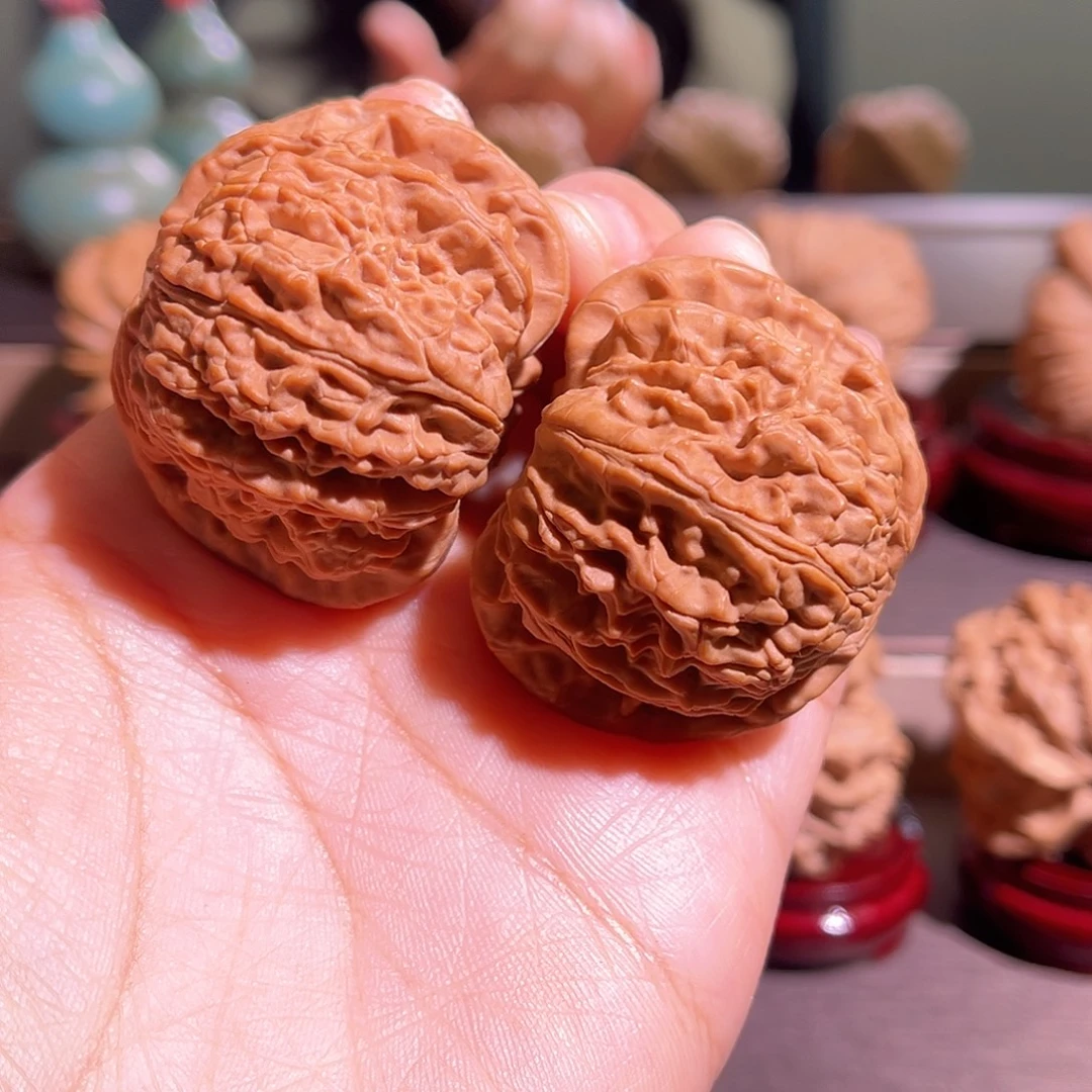 核桃全品白狮子42