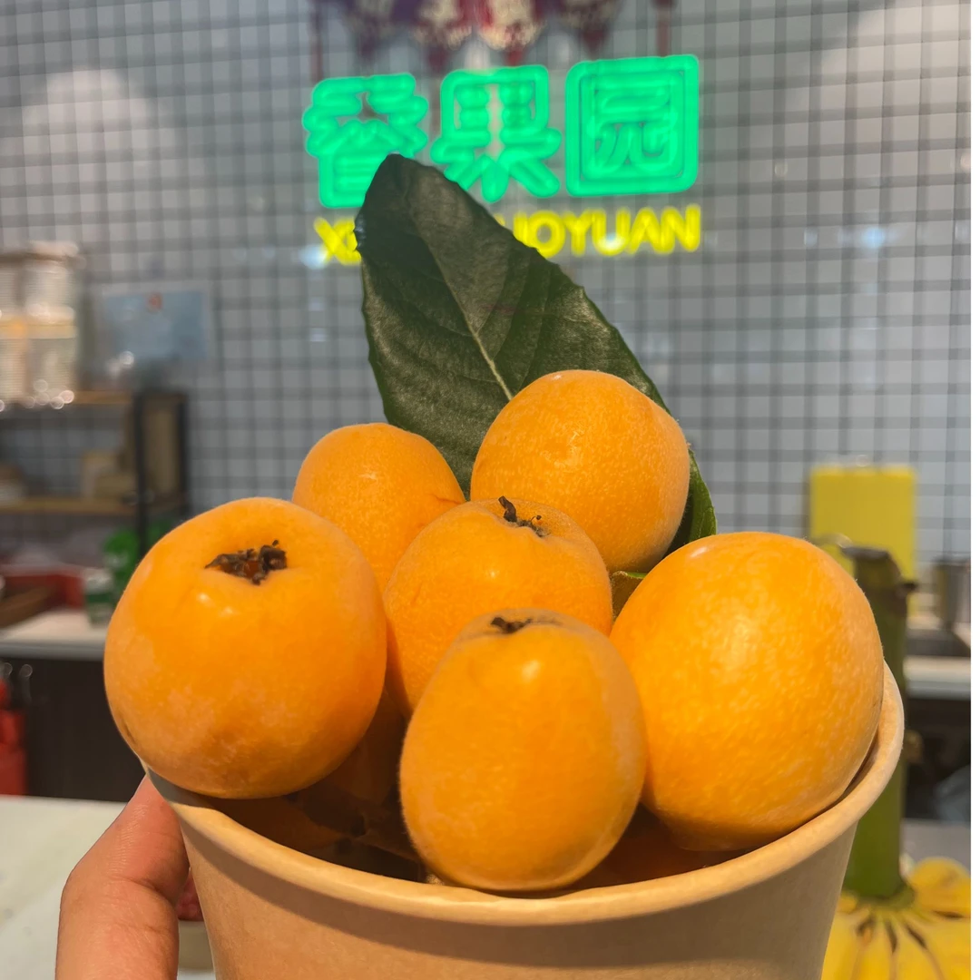 【应季热卖】四川米易枇杷 g