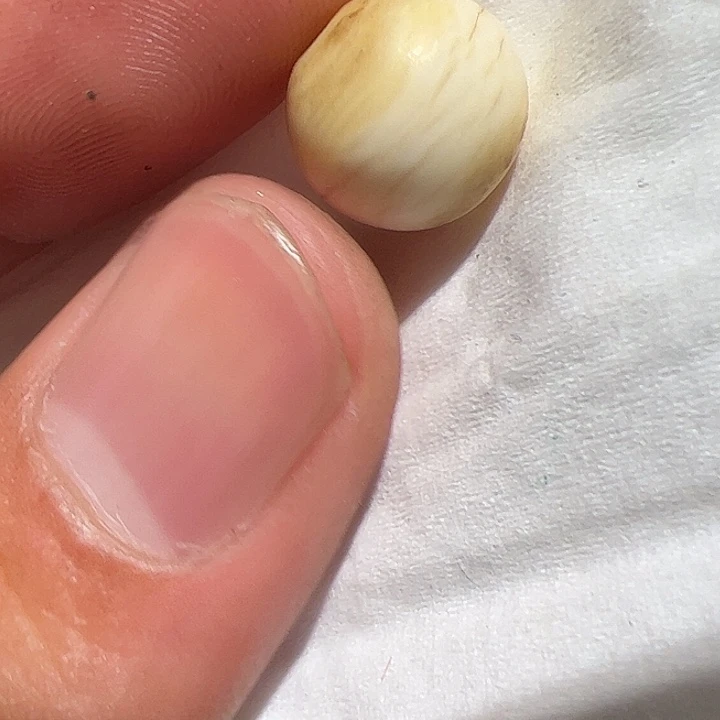 玻璃颈饰在这里的