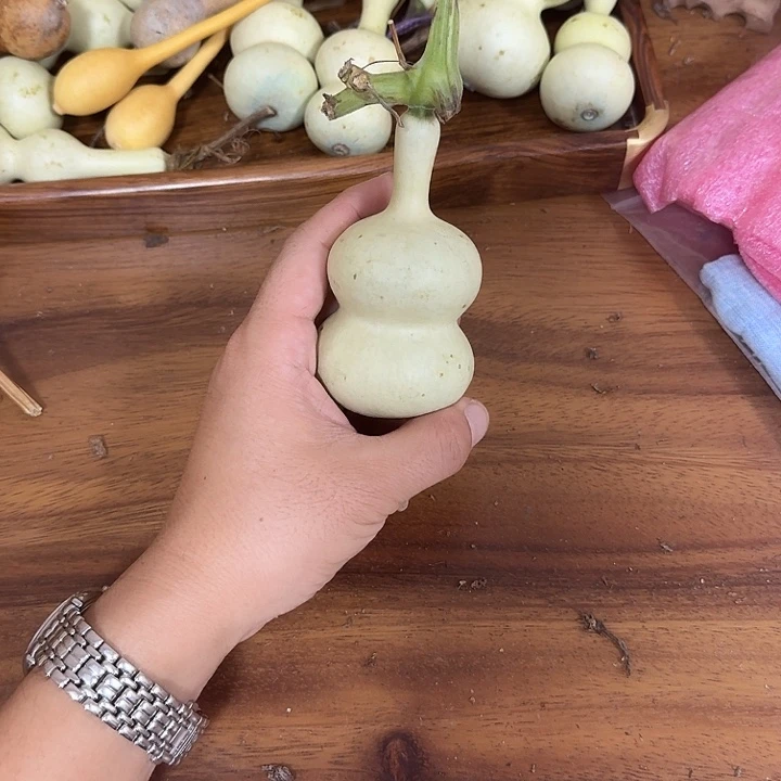 姚***生pufpufoufoyxoyxyooycocoyo