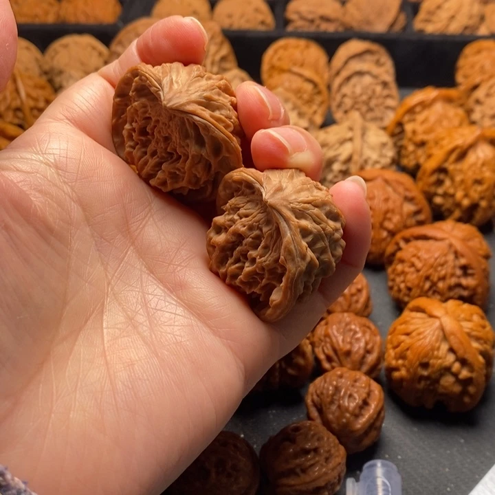 秦岭野生111111111