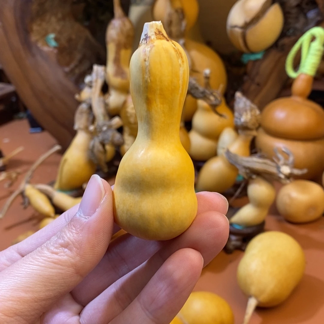 教练咯教练咯哦哦哦咯
