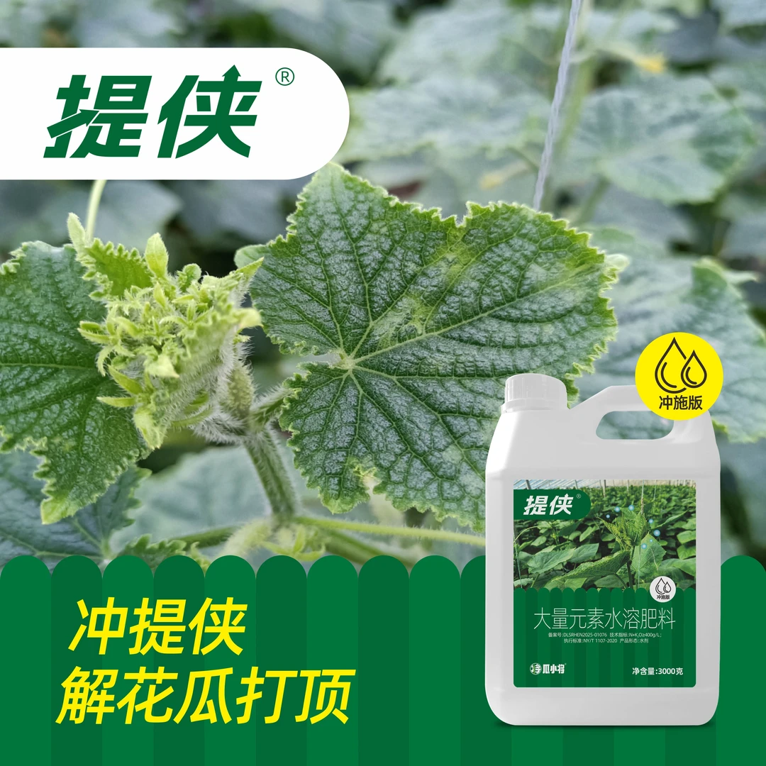 提侠冲施版解黄瓜花瓜打顶封头僵弱苗不长冷药害控旺过度龙头节短
