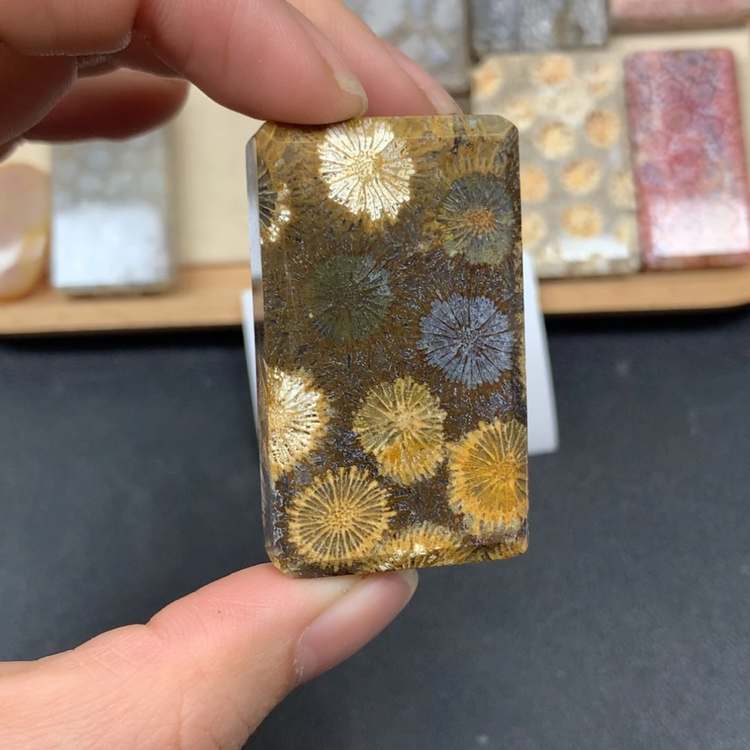 硅化珊瑚（珊瑚玉）未镶嵌颈饰