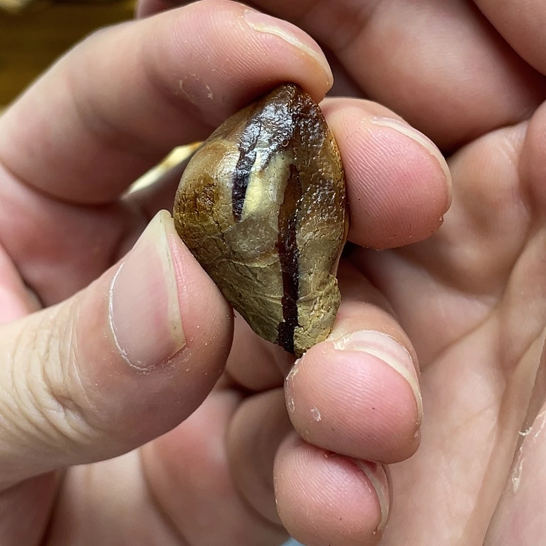 未镶嵌定制琥珀定制