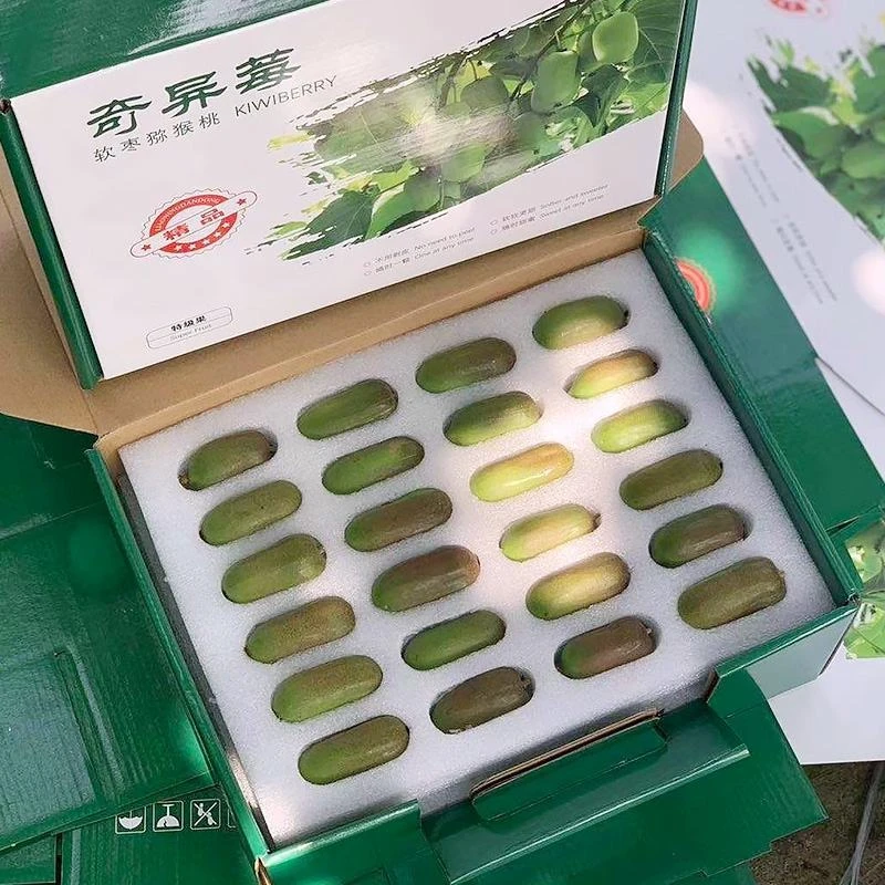 顺丰包邮丹东软枣猕猴桃新鲜奇异莓应季水果香甜多汁