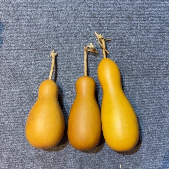 大瓶子摆件葫芦娃