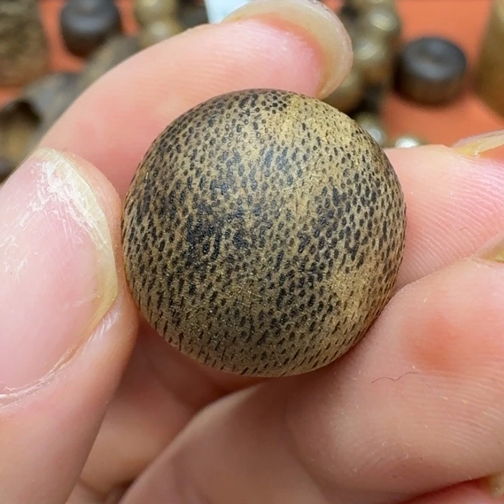 大叶紫檀（黑酸枝木类）