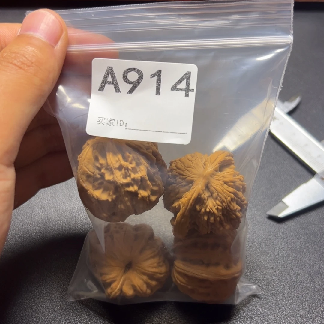 核桃哈哈哈哈哈我