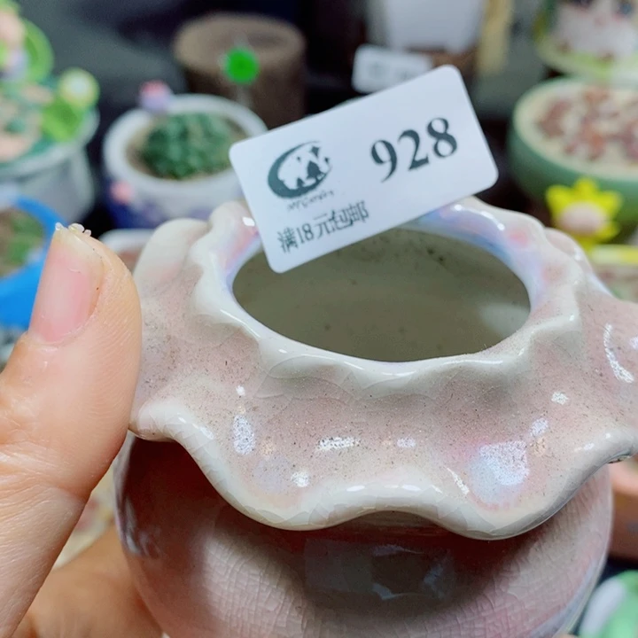 Z***z生石花花花花花花928