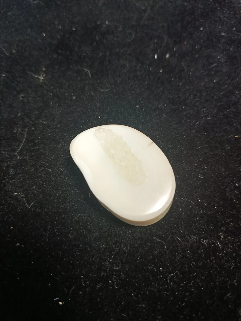 猛犸猛犸虬饼子WW552