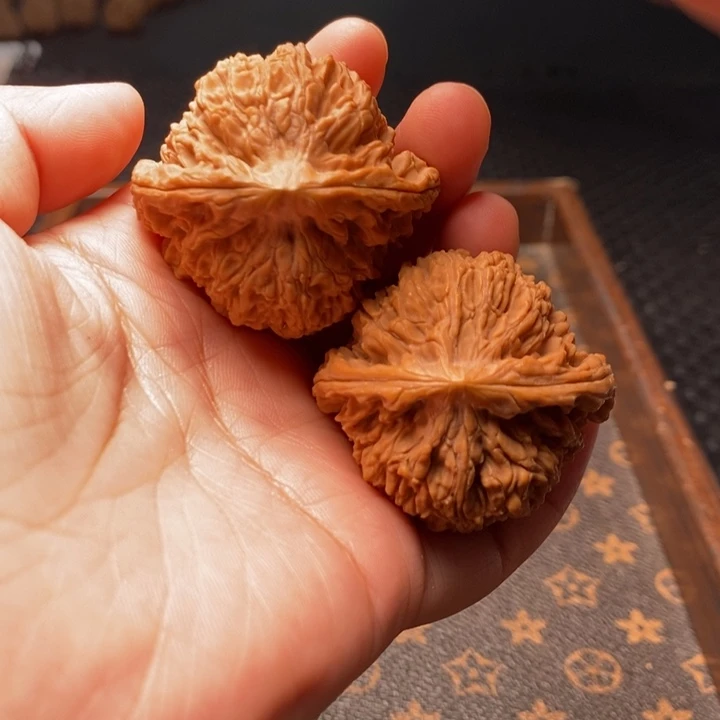 把件文玩核桃拉丝蚂蚁42尺