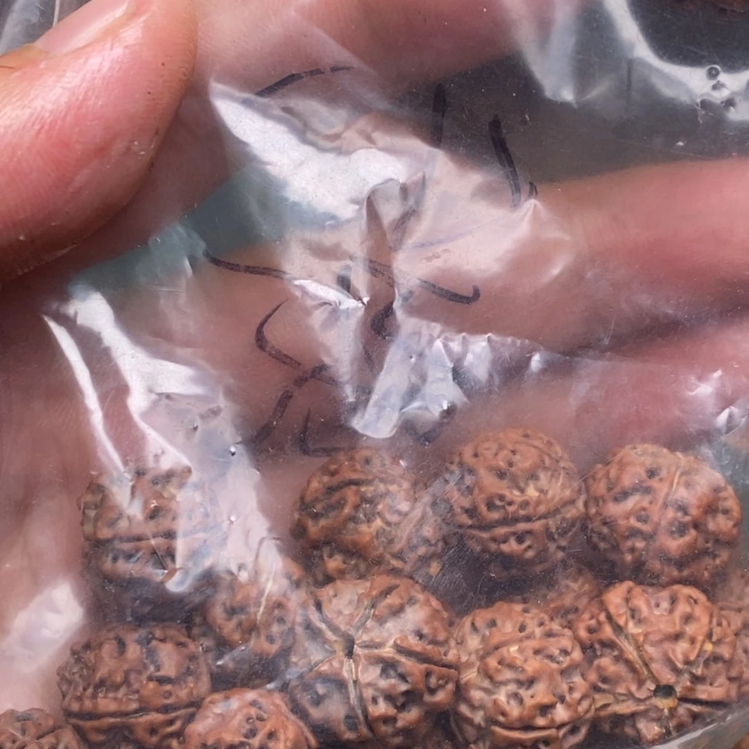 金刚菩提吊坠双***~金刚