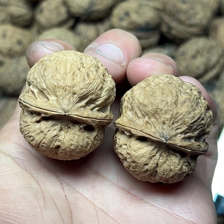 把件文玩核桃47号粗筋铁核37尺