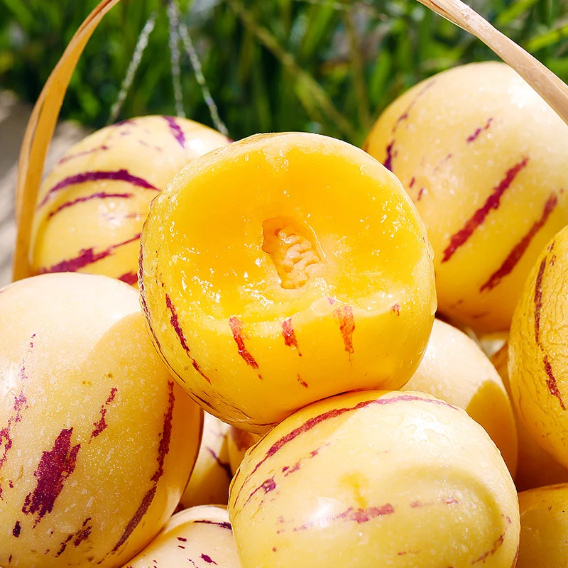 云南石林人参果新鲜水果树熟圆果香甜多汁