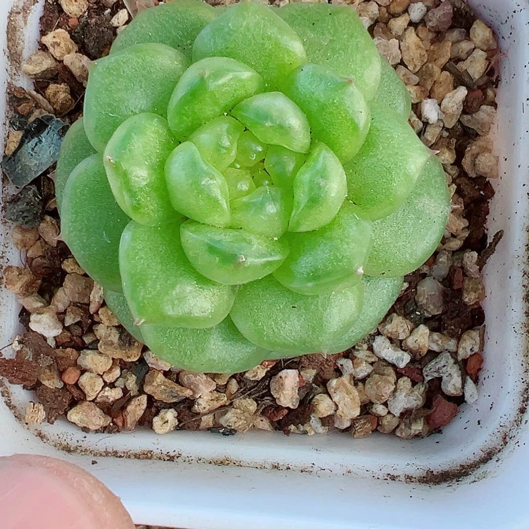 850哈哈哈哈哈哈哈哈