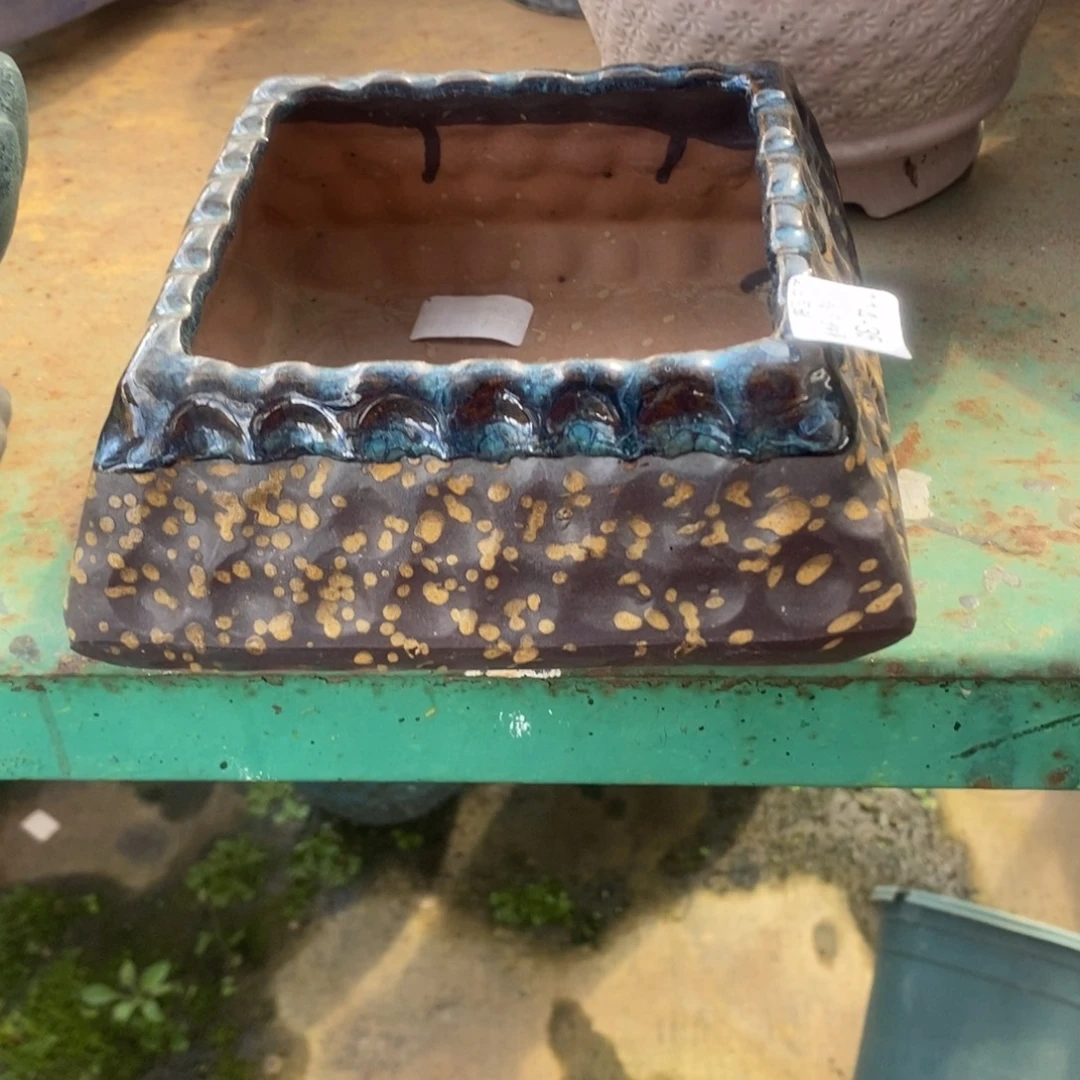 35号多肉盆口径11