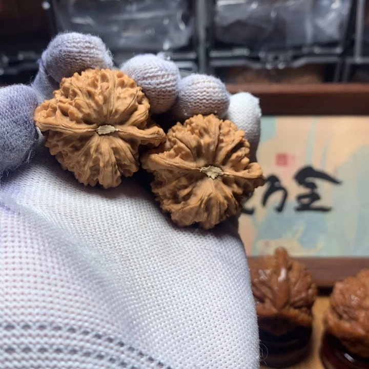 北***天哈哈哈哈哈哈哈哈哈哈