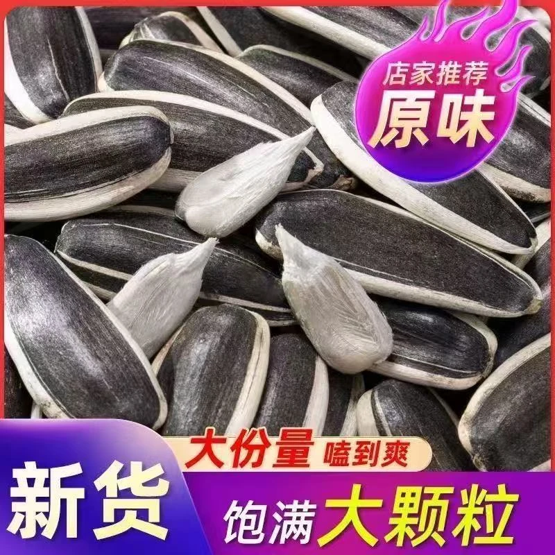 【买一斤送一斤】2斤内蒙古新货原味熟瓜子大颗粒休闲零食