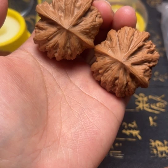 野狼异形全品无修