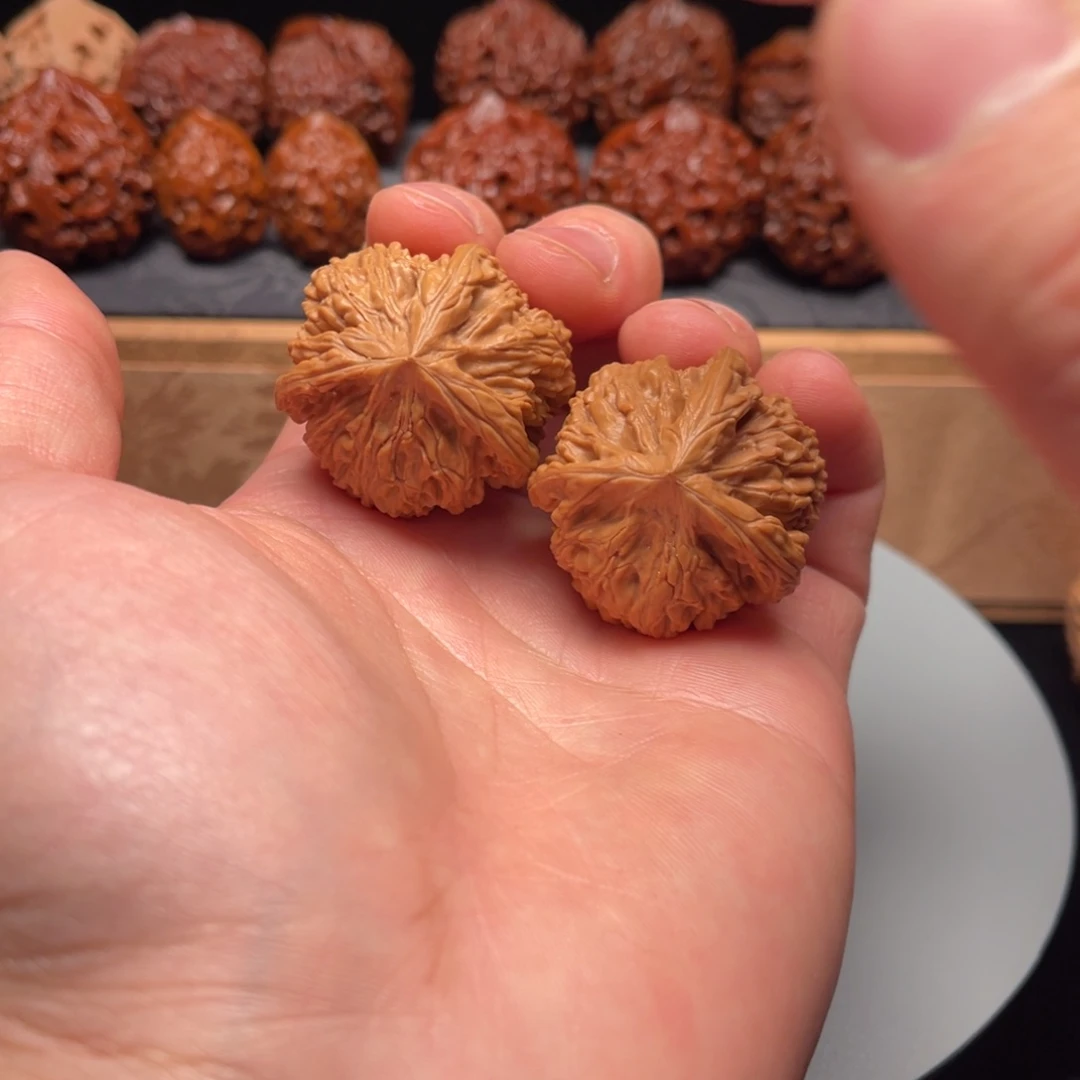 把件文玩核桃文山三棱虫眼