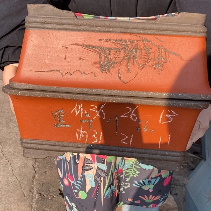 花盆紫砂只顾看手机的