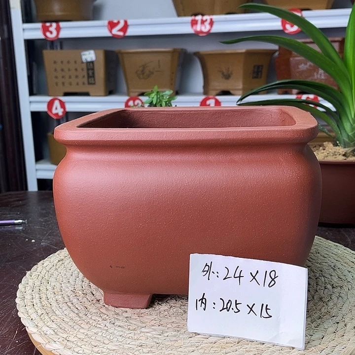 紫砂花盆紫砂之光