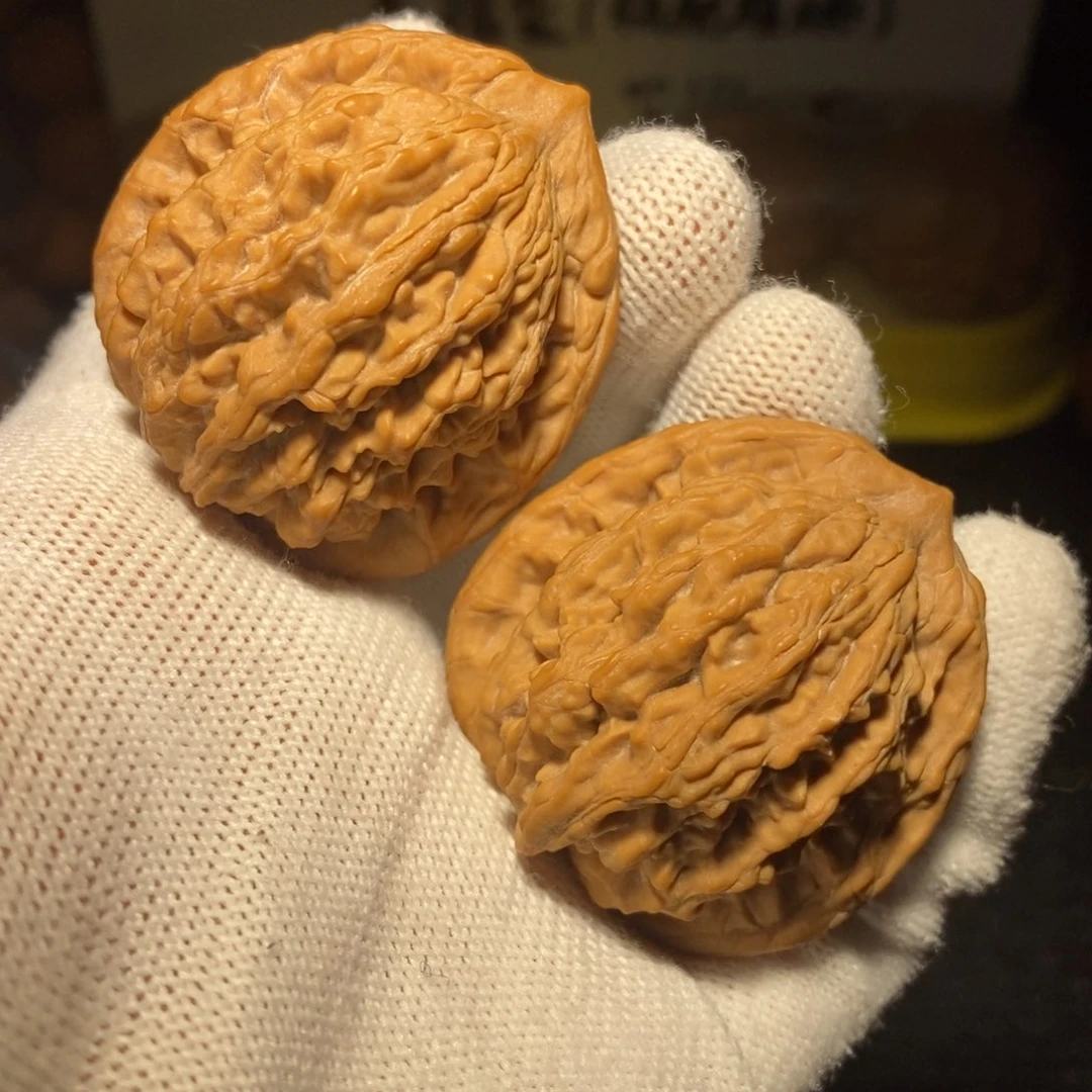 麦穗虎头40尺新春福利