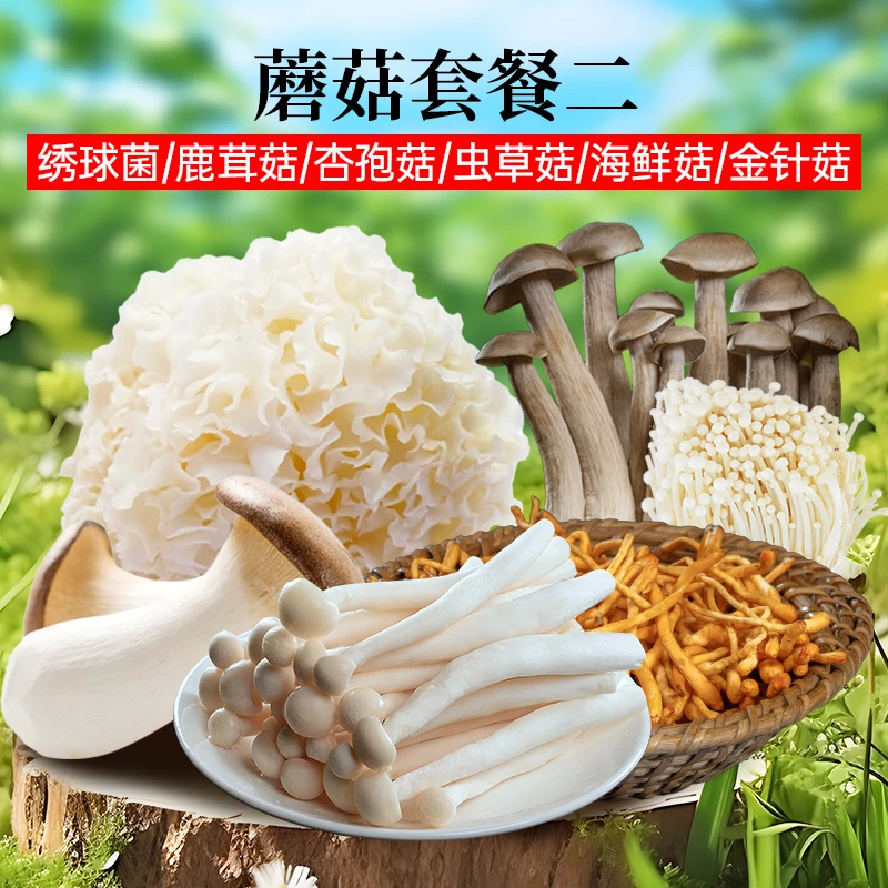 【精品菇】精品黄河口岸菌菇套餐二 董事长精选