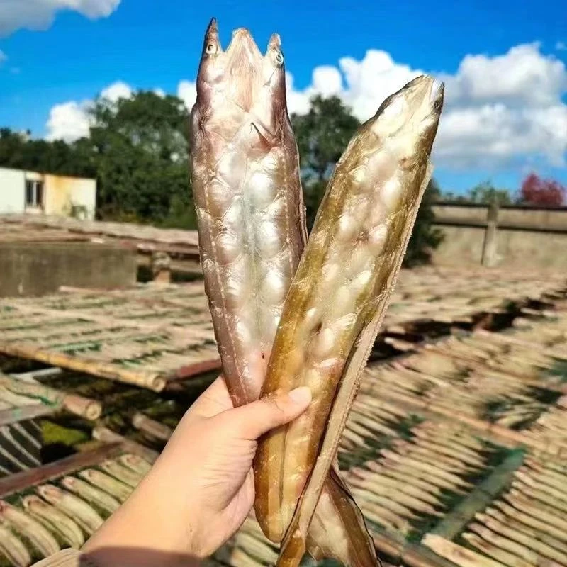 舟山沙鳗鲞沙鳗干鳗鱼干整条油鳗七星鳗鱼海鲜1斤装