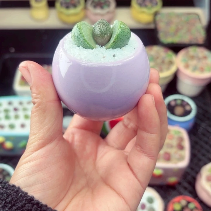 918零下地区记得拍保温箱满18包邮