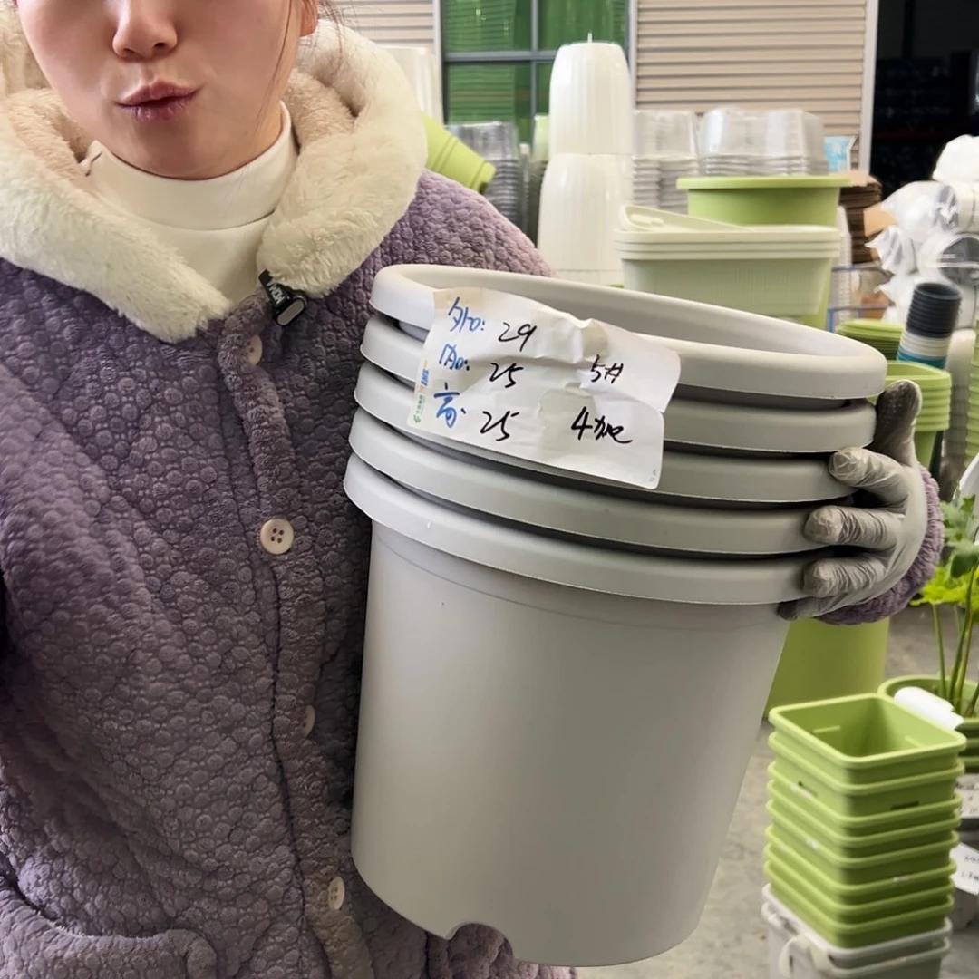 四季盆5#灰白6个无托