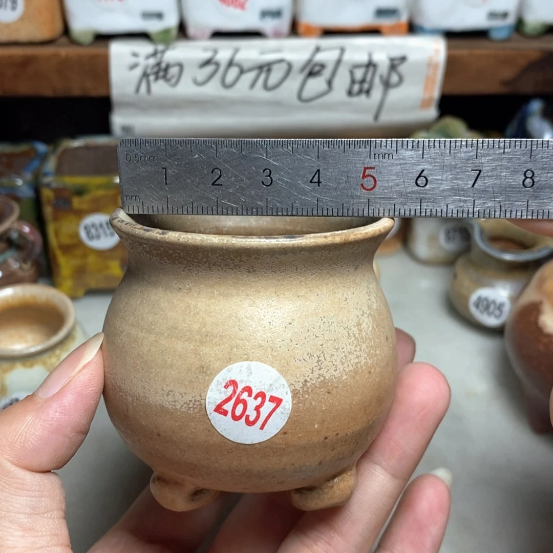 拍5送一个小礼物